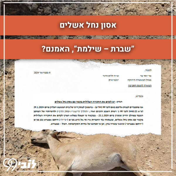 משטרה ירוקה V2