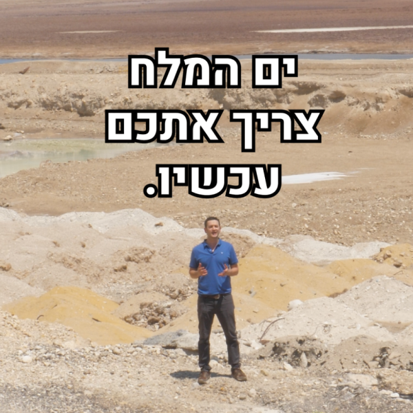סביבה Copy 03.00_00_01_18.Still003