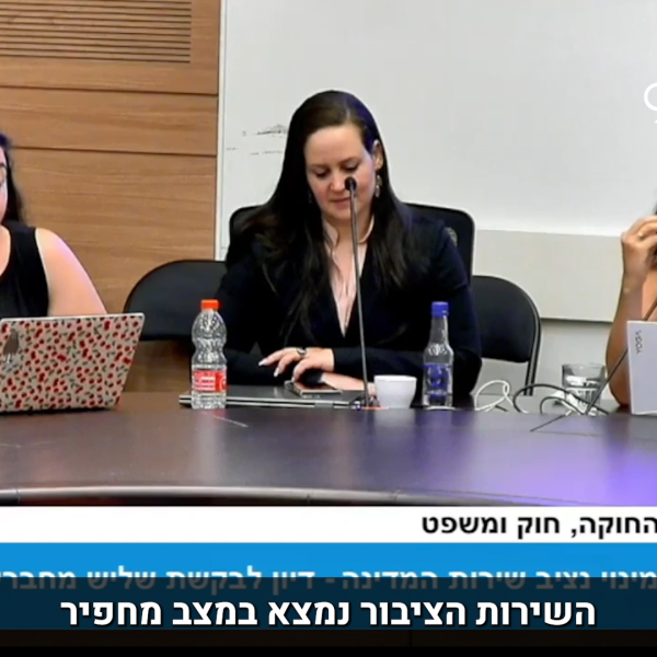 נציב המדינה