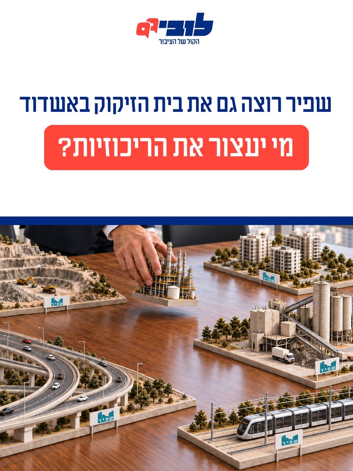 התמודדות עם ריכוזיות תאגידית