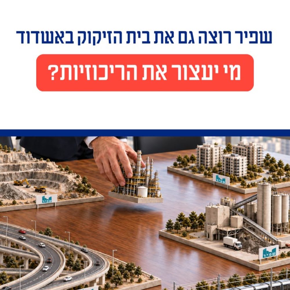 התמודדות עם ריכוזיות תאגידית