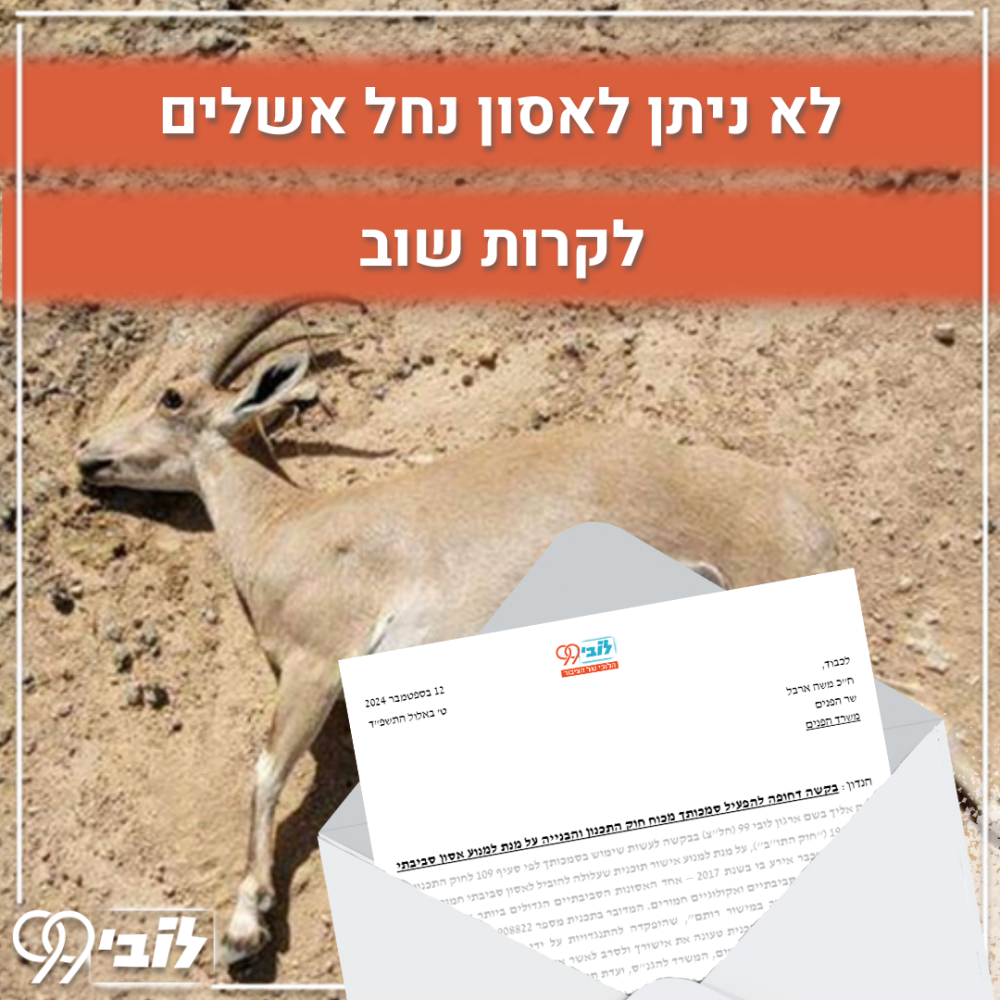 12.9.24 בריכה 4 (1)
