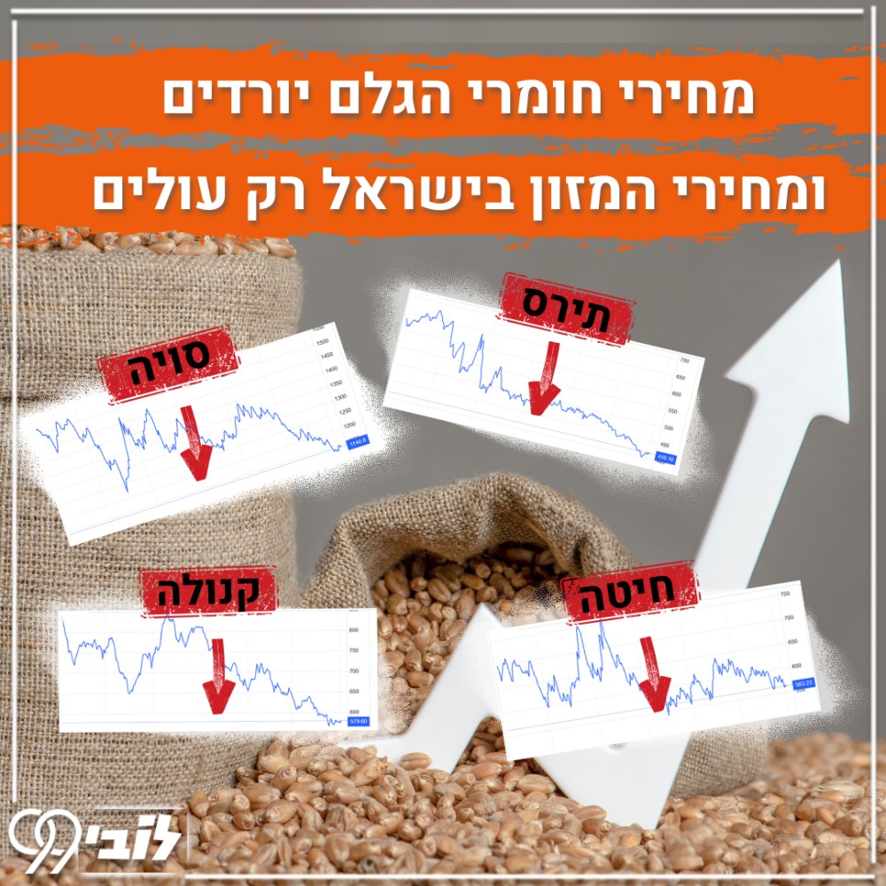 עליות מחירים (2)